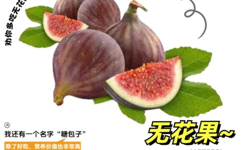 鱼腥草片的功效与作用及禁忌-鱼腥草泡水喝有什么作用与功效-鱼腥草水的功效与作用及禁忌,中国鱼腥草泡水喝功效与禁忌网站